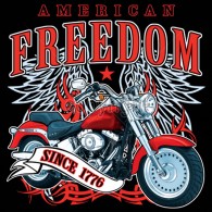 American Freedom Bike
